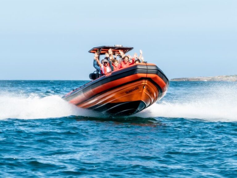 Cascais: Dolphin Watching Tour - Why This Tour Works