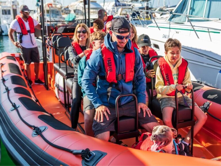 Cascais: Dolphin Watching Tour - Price and Value