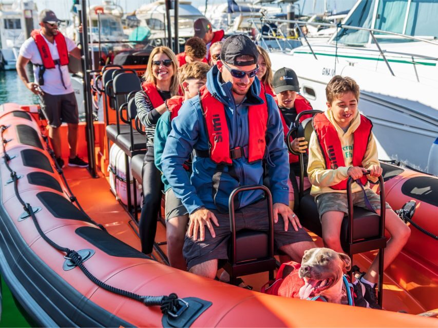 Cascais: Dolphin Watching Tour - Price and Value