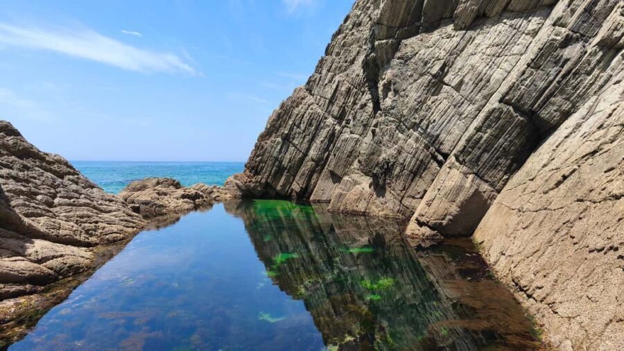 Cascais: Wild Coast Hike to a Secluded Swim Spot - Why This Tour Is a Great Value