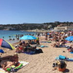 Cassis, Bandol, Le Castellet wine tour: Cliffs and Vineyards - Exploring Cassis and the Calanques