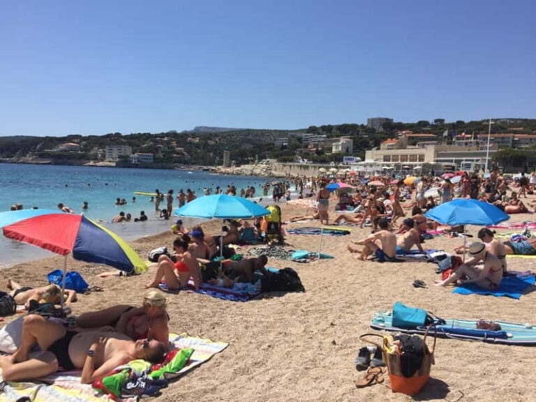 Cassis, Bandol, Le Castellet wine tour: Cliffs and Vineyards - Exploring Cassis and the Calanques