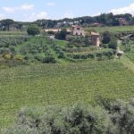 Castelli Romani wine Tour - Detailed Itinerary Breakdown