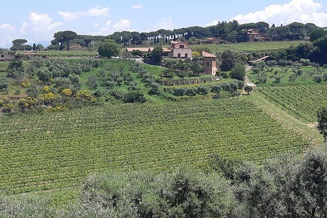Castelli Romani wine Tour - Detailed Itinerary Breakdown