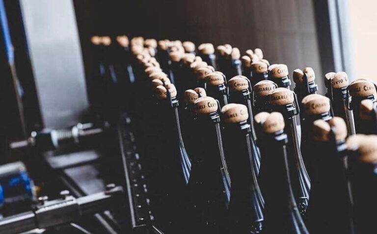 Castelvetro: winery tour and Lambrusco tasting - Visiting the Winery and Vineyard