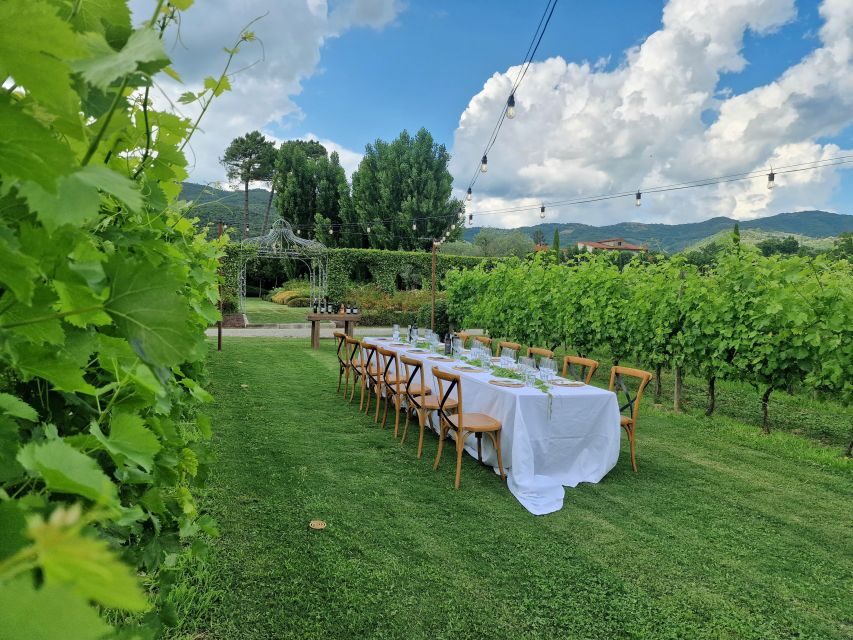 Castiglion Fiorentino: Buccelletti Wine Flight - An In-Depth Look at the Buccelletti Wine Flight Experience