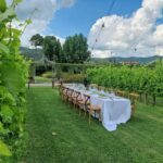 Castiglion Fiorentino: Tour, Tasting & Charcuterie Board - Who Should Consider This Tour?