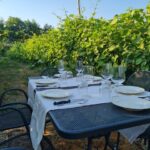 Castiglion Fiorentino: wine tasting with guided tour - An Authentic Taste of Tuscany: What to Expect