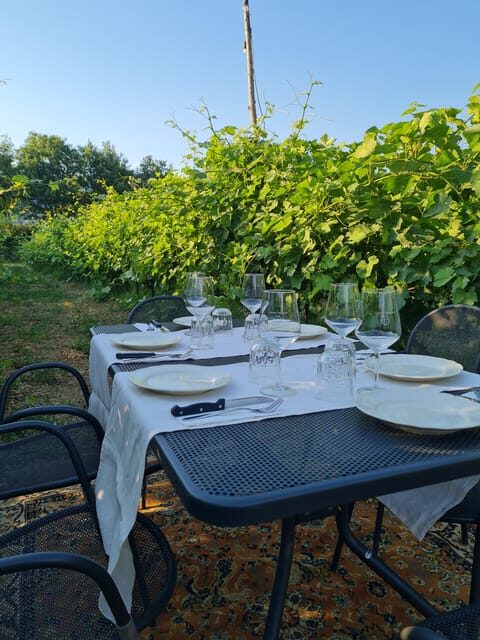 Castiglion Fiorentino: wine tasting with guided tour - An Authentic Taste of Tuscany: What to Expect