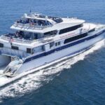 Catalina Island Day Trip from Anaheim Hotels with Discover Avalon Tour - Who Will Love This Tour?