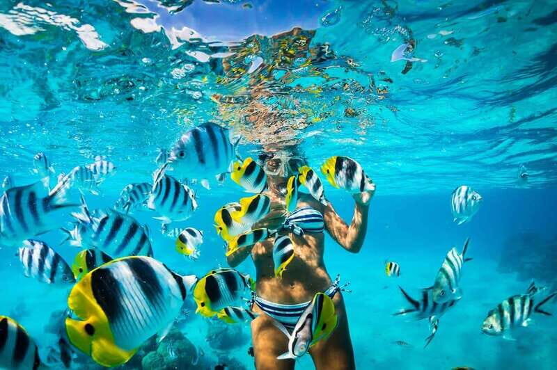 Catalina Island Full-Day Snorkeling + Lunch from Punta Cana - Authentic Marine & Island Experiences