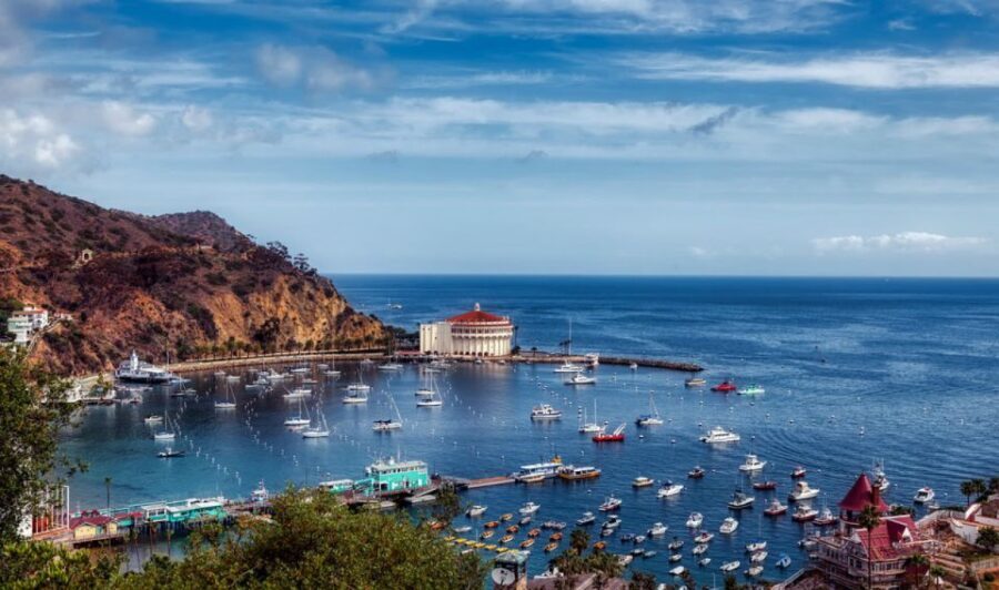 Catalina Island: Yellow Semi-Submarine Cruise - Analyzing the Value & Overall Impression
