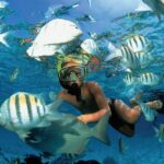 Catamaran adventure to Isla Mujeres with Snorkel,Buffet,Open Bar and Beach Club - Authentic Traveler Insights