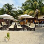 Catamaran Plus Reef Snorkeling and Isla Mujeres Visit - Snorkeling and Marine Life: A Colorful Underwater World