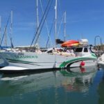 Catamaran Private Tour - Benagil & Marinha Beach - (28 PAX) - Frequently Asked Questions