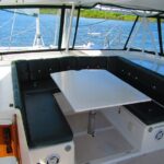 Catamaran Sailing Dolphin/Manatee Watch in Daytona Beach - Who Will Love This Tour?