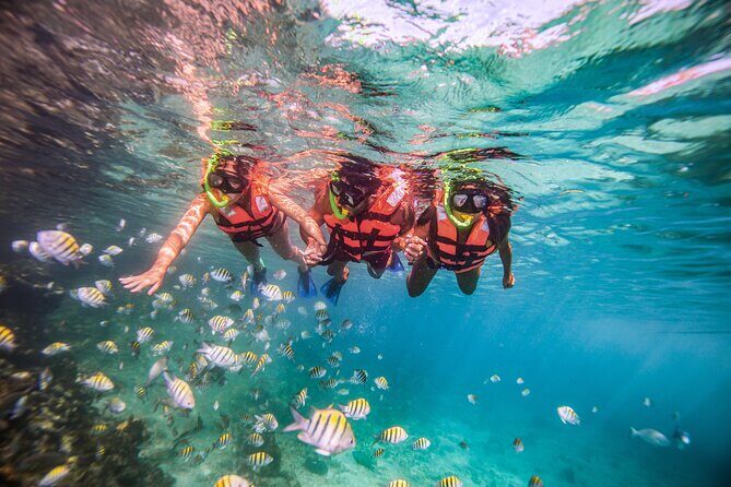 CATAMARAN to Isla Mujeres, Snorkel & Beach Club by Xcaret - Authentic Experiences and Practical Tips