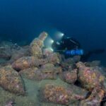 Catania : Diving for patented divers - Who Is This Tour Best For?