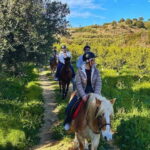 Catania: Guided Horseback Ride in Misterbianco Countryside - A Deep Dive into the Horseback Riding Experience