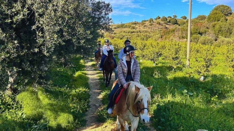 Catania: Guided Horseback Ride in Misterbianco Countryside - A Deep Dive into the Horseback Riding Experience