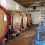 Catania: Wine Tour - Why This Tour Stands Out