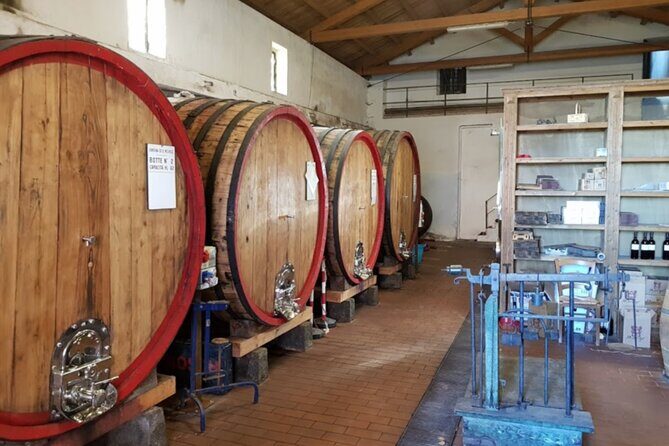 Catania: Wine Tour - Why This Tour Stands Out