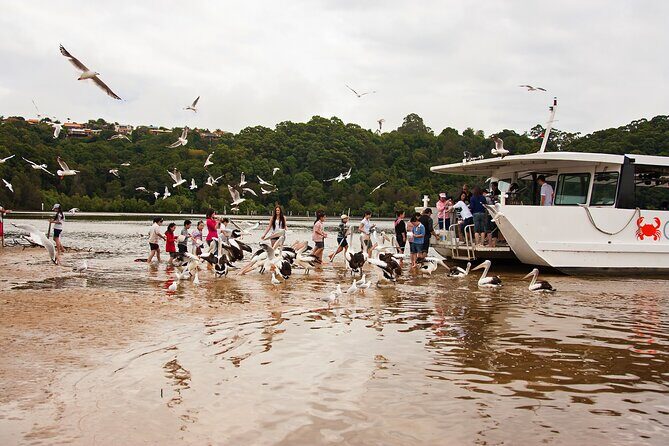 Catch a Crab Tour with Optional Seafood Lunch - Why This Tour Works for You