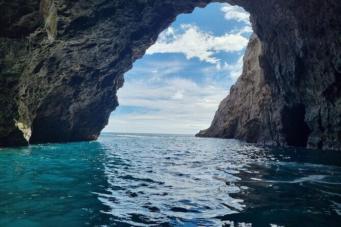 Cathedral Cove 2 Hour Guided Tour Explore Marine Wonders - Why This Tour Offers Great Value