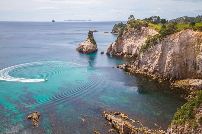 Cathedral Cove & Coromandel, Small-Group Tour from Auckland - What Makes This Tour Stand Out?