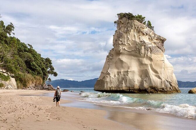 Cathedral Cove & Hot water beach -Full Day Tour: PRIVATE TOUR - Transportation & Practical Details