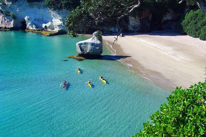 Cathedral Cove Kayak Tour - Who Should Consider This Tour?