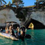Cathedral Cove Marine Reserve - Specialised Boat Snorkeling - What Makes This Tour Special?