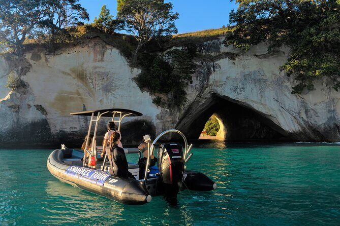 Cathedral Cove Marine Reserve - Specialised Boat Snorkeling - What Makes This Tour Special?