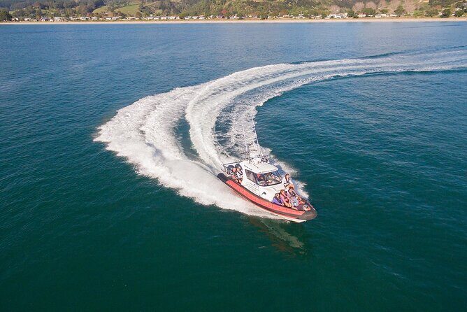 Cathedral Cove Scenic Cruises Whitianga - Final Thoughts