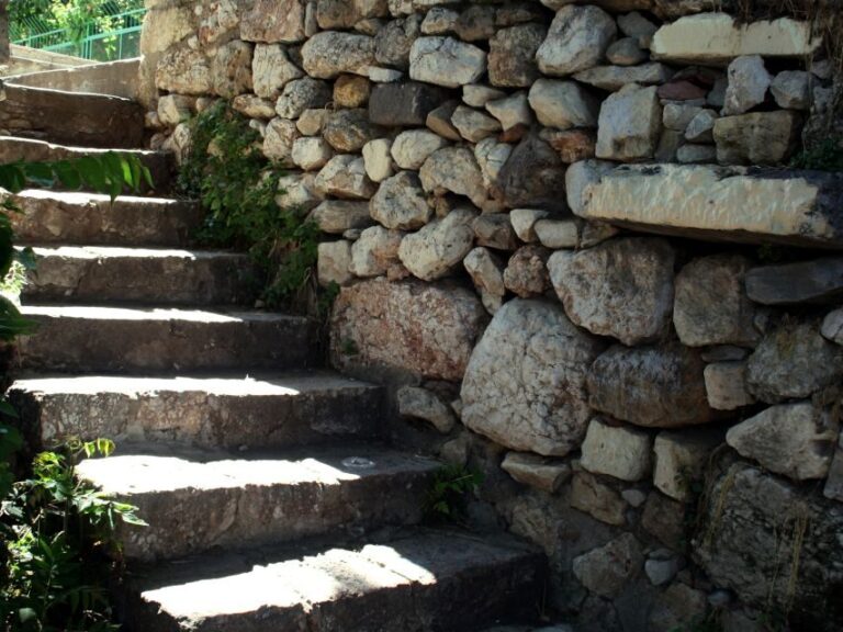 Cats of Athens: Self-Guided Mobile Tour in Plaka - An In-Depth Look at the Cats of Athens Tour