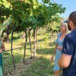 Cavaion: Lake Garda Wine & Food Tasting with Vineyard Tour - An Authentic Taste of Lake Garda’s Vineyards
