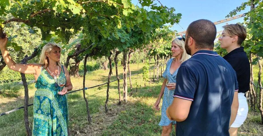 Cavaion: Lake Garda Wine & Food Tasting with Vineyard Tour - An Authentic Taste of Lake Garda’s Vineyards