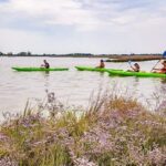 Cavallino-Treporti: Short Kayak Tour in the Venetian Lagoon - Who Should Consider This Tour?