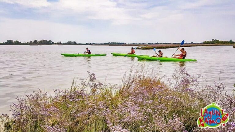Cavallino-Treporti: Short Kayak Tour in the Venetian Lagoon - Who Should Consider This Tour?