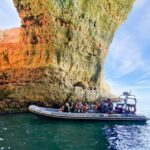 Caves & Dolphins - Combined Trip - The Experience: What to Expect on the Caves & Dolphins Trip