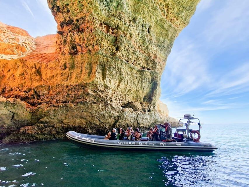 Caves & Dolphins - Combined Trip - The Experience: What to Expect on the Caves & Dolphins Trip