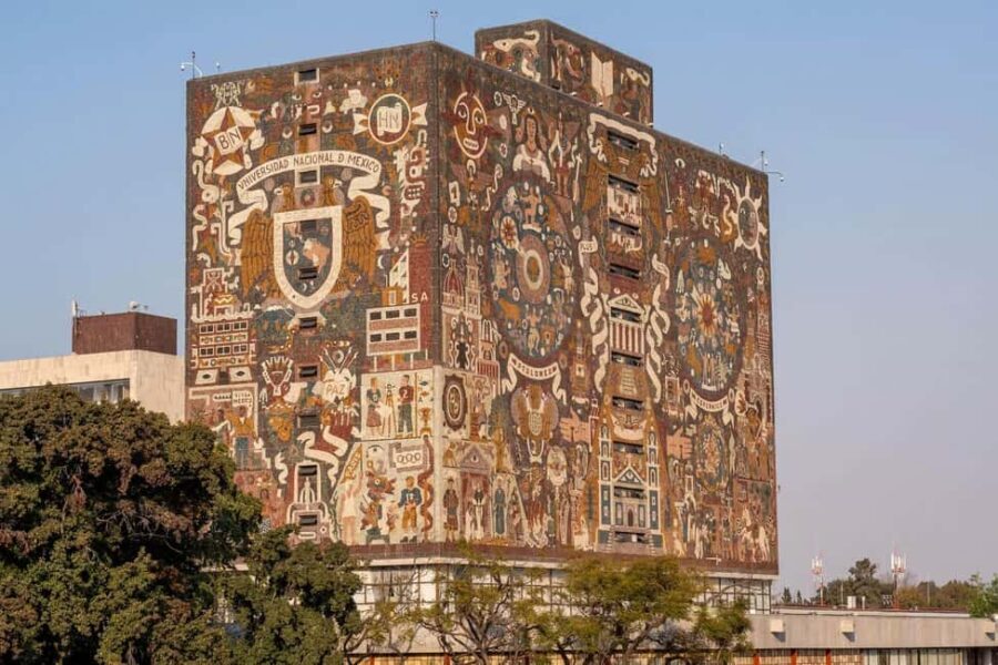 CDMX: Coyoacán, UNAM, Xochimilco, and optional Frida Kahlo Museum - What Makes This Tour Stand Out