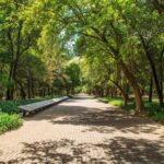 CDMX: Private bicycle tour through the Chapultepec Forest. - Why a Bicycle Tour in Chapultepec Is Worth It