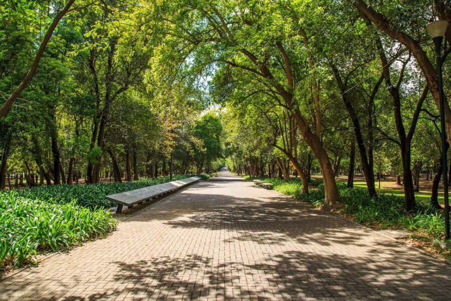 CDMX: Private bicycle tour through the Chapultepec Forest. - Why a Bicycle Tour in Chapultepec Is Worth It