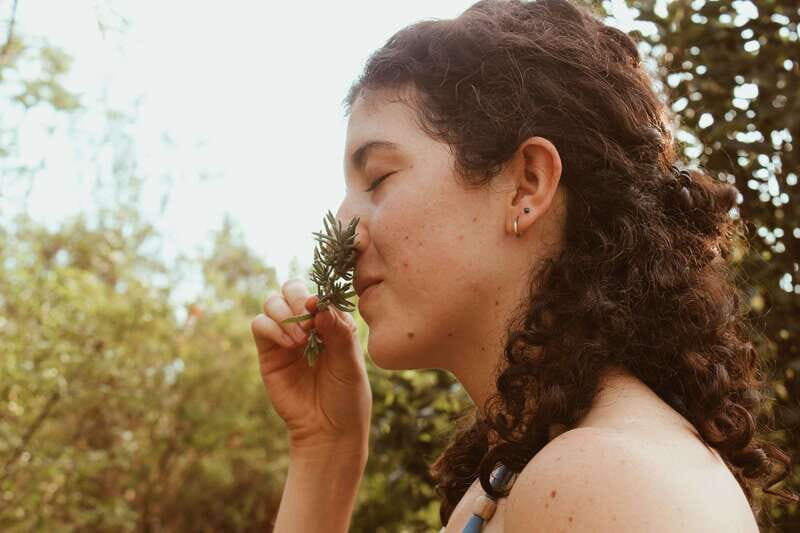 CDMX: TEMAZCAL Healing & cleansing ceremony ritual zapoteco - The Itinerary in Detail
