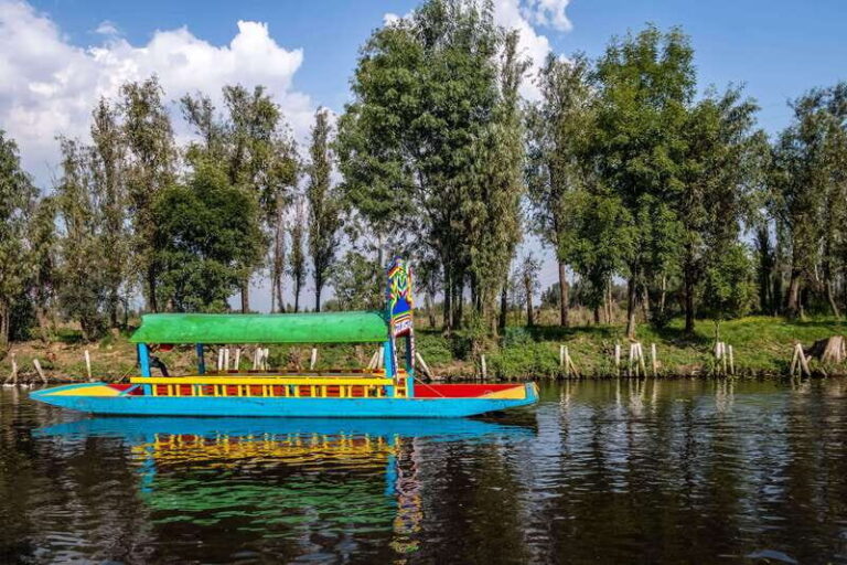 CDMX: Tour of Xochimilco and Coyoacán with option to visit the Frida Kahlo Museum - A Deep Dive into the Tour Experience