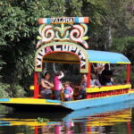 CDMX: Trajinera party in Xochimilco with tacos, music, and drinks - The Cruise: Music, Drinks, and Festive Vibe