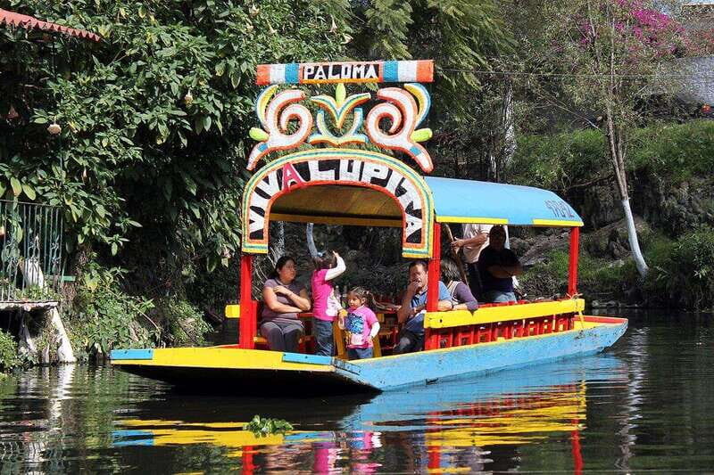 CDMX: Trajinera party in Xochimilco with tacos, music, and drinks - The Cruise: Music, Drinks, and Festive Vibe