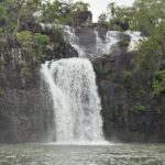 Cedar Creek Express. (Cruise Ship Friendly) - Deep Dive: Why This Tour Works for You