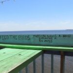 Cedar Key Food Walks - Who Should Consider This Tour?